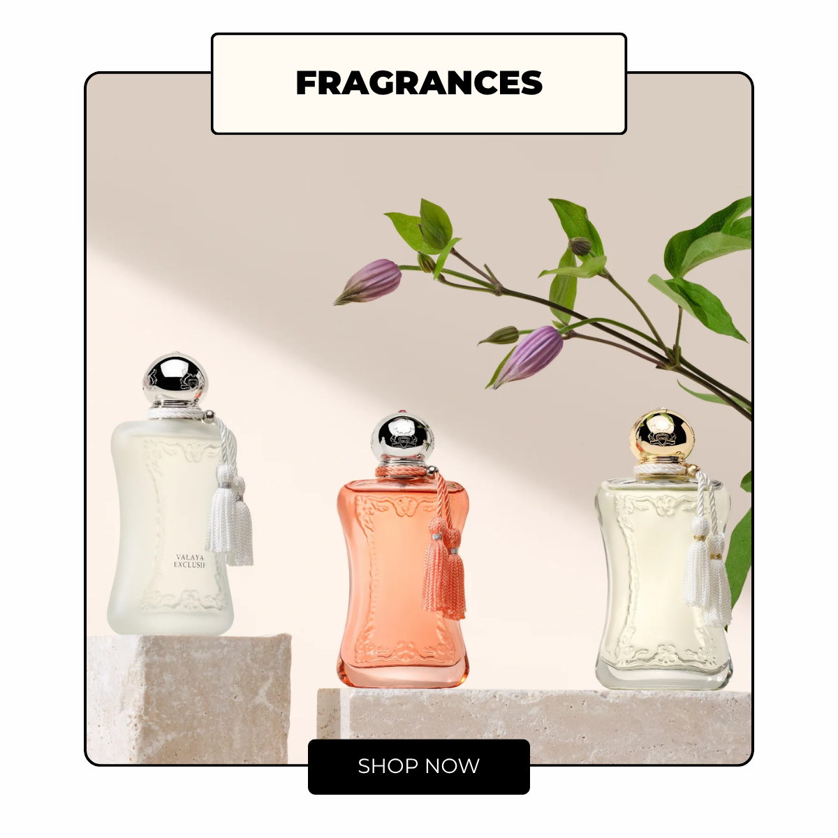 City Perfume - Fragrances