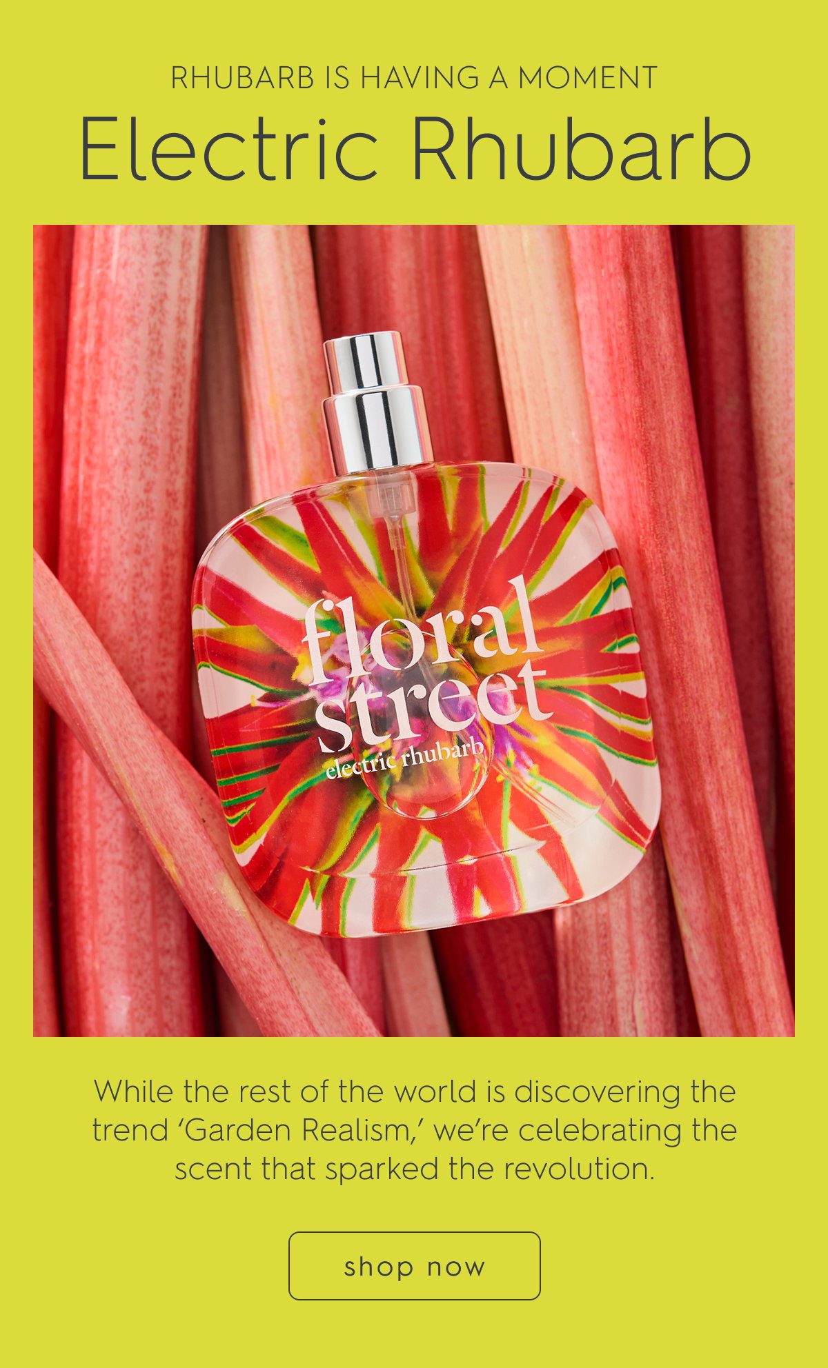 Electric Rhubarb Eau de Parfum Shop Now