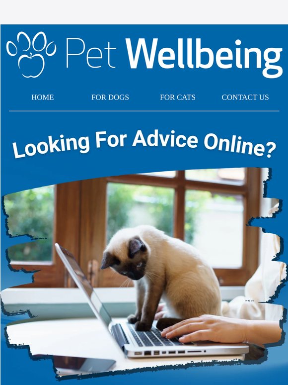 Need Help Choosing the Right Supplements for Your Pet?