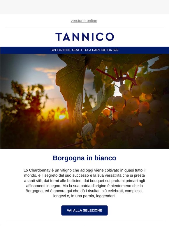 Tutti i Bianchi di Borgogna che hai sempre desiderato