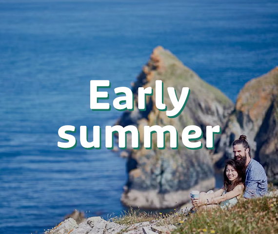 Early summer