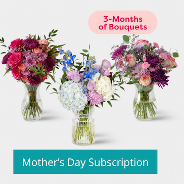 Callia's 3-Month Mother's Day Subscription