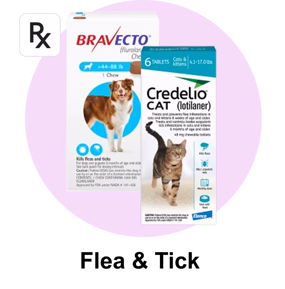 Flea and tick treatments