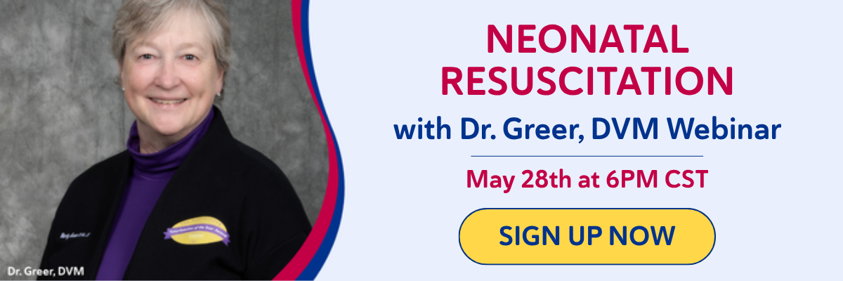 Sign Up Now