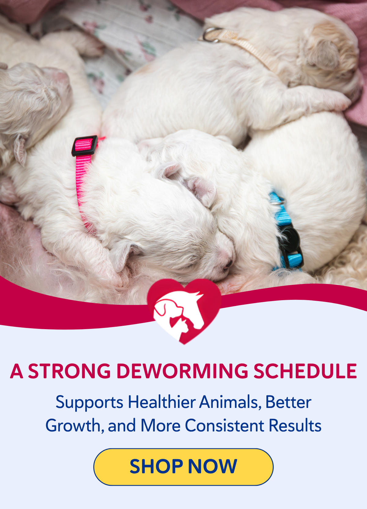 A strong deworming schedule supports healthier animals, better growth, and more consistent results.- SHOP NOW