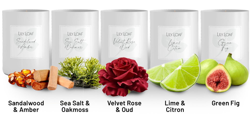https://stratus.campaign-image.eu/images/74829000088503004_zc_v1_1773416035831_candles_back_in_stock.png
