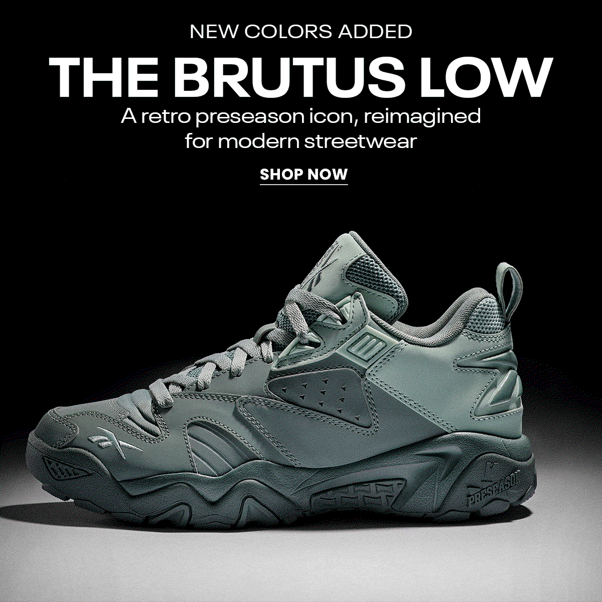 basketball-brutus-low