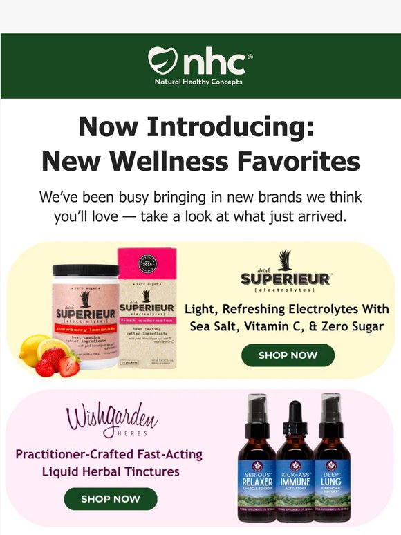 Just In 👀 New Brands to Explore