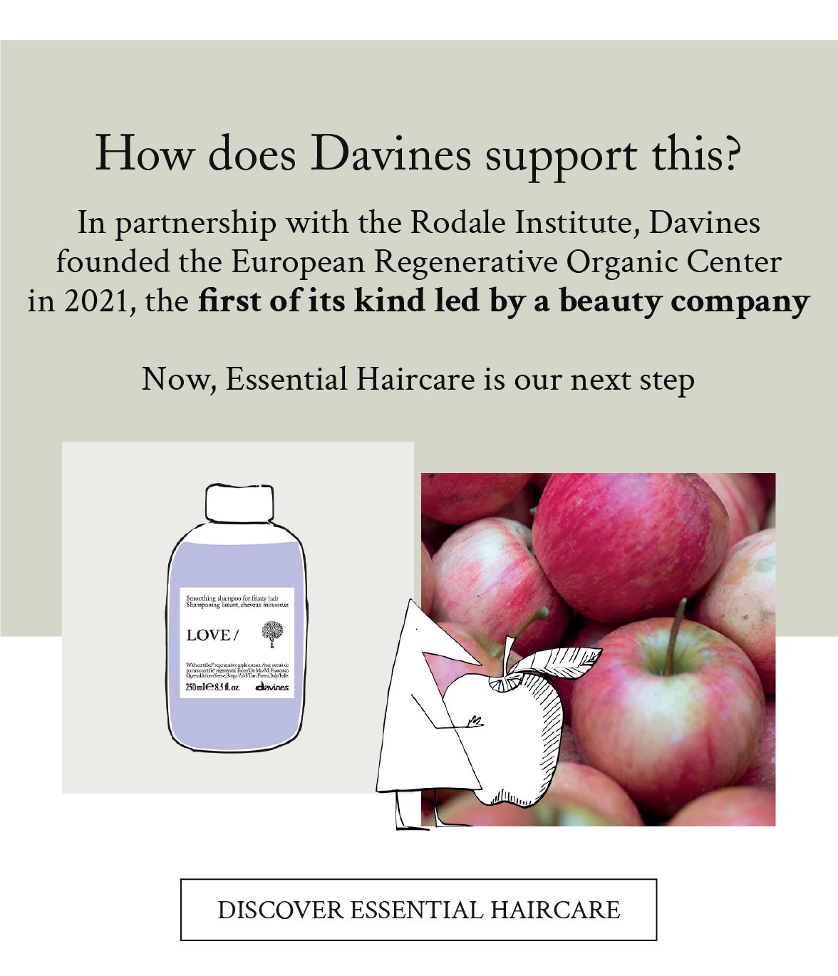 Discover Essential Haircare
