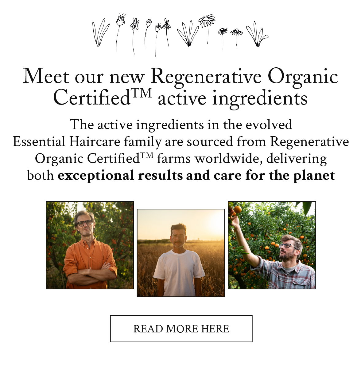 Read more here