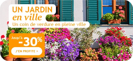 Un jardin en ville jusqu'à -30%
