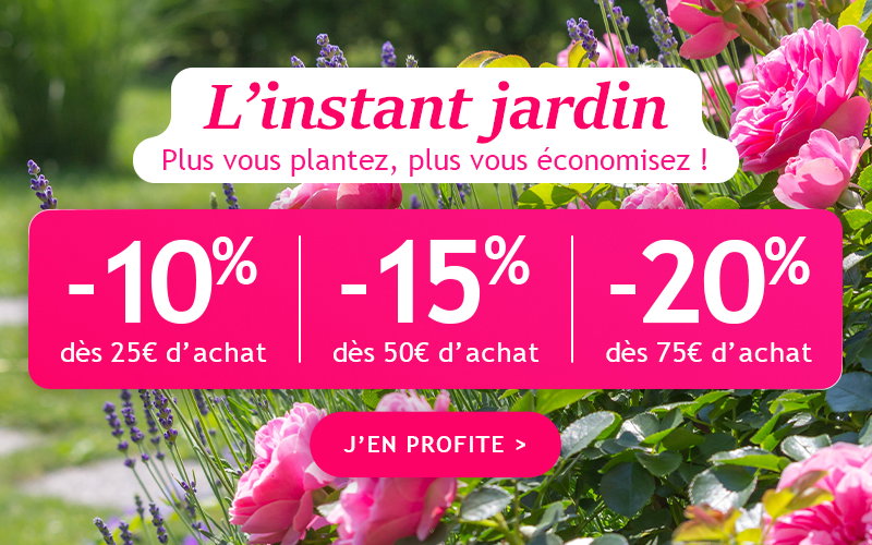 L'instant jardin