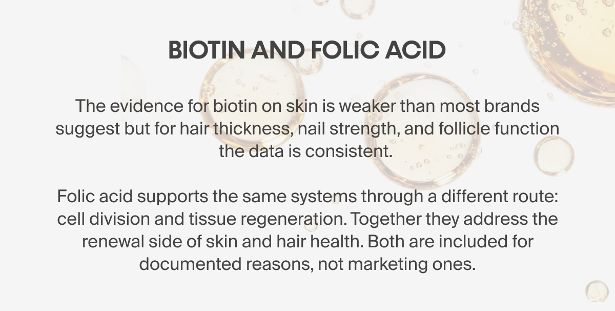 Biotin and Folic Acid 