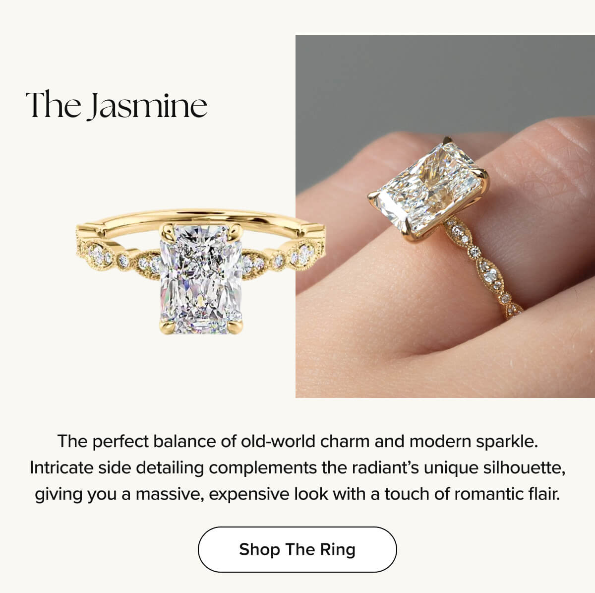 The Jasmine