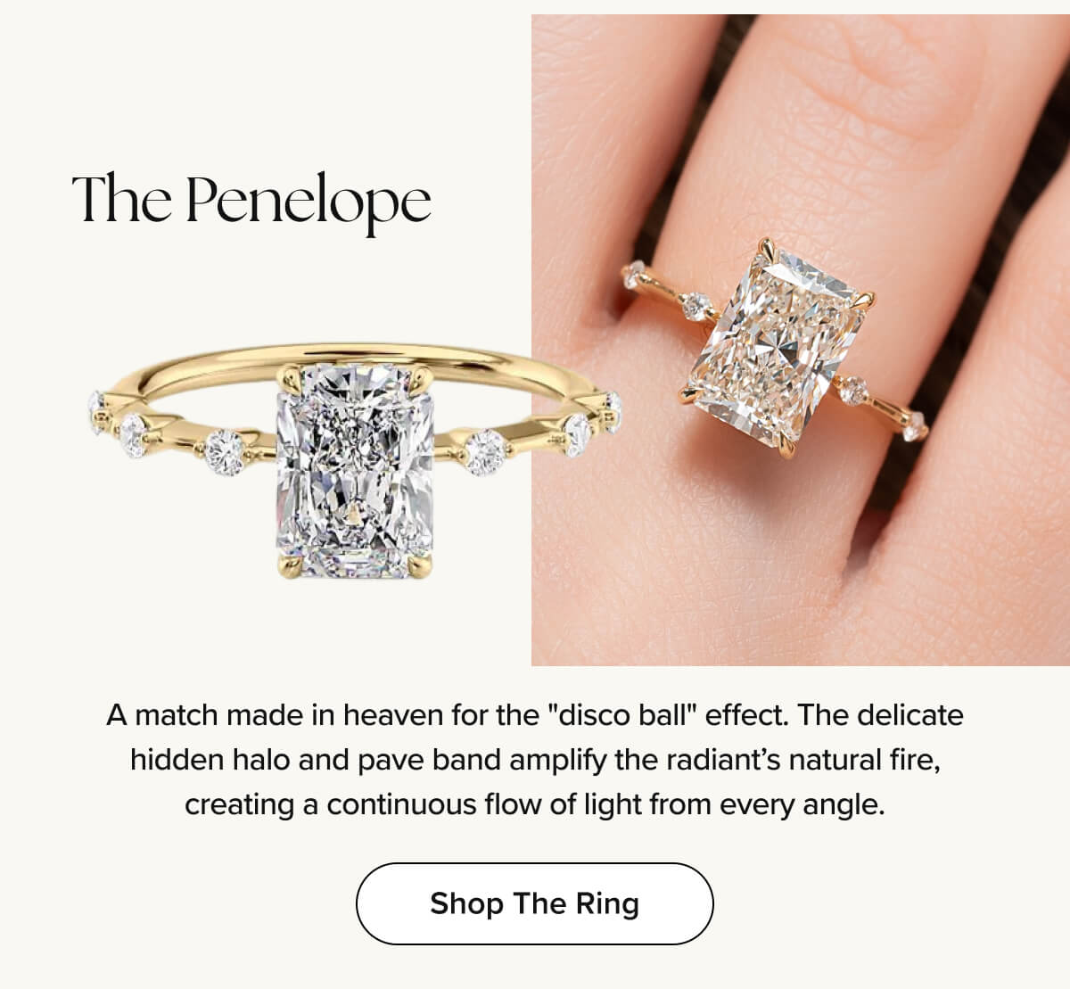 The Penelope