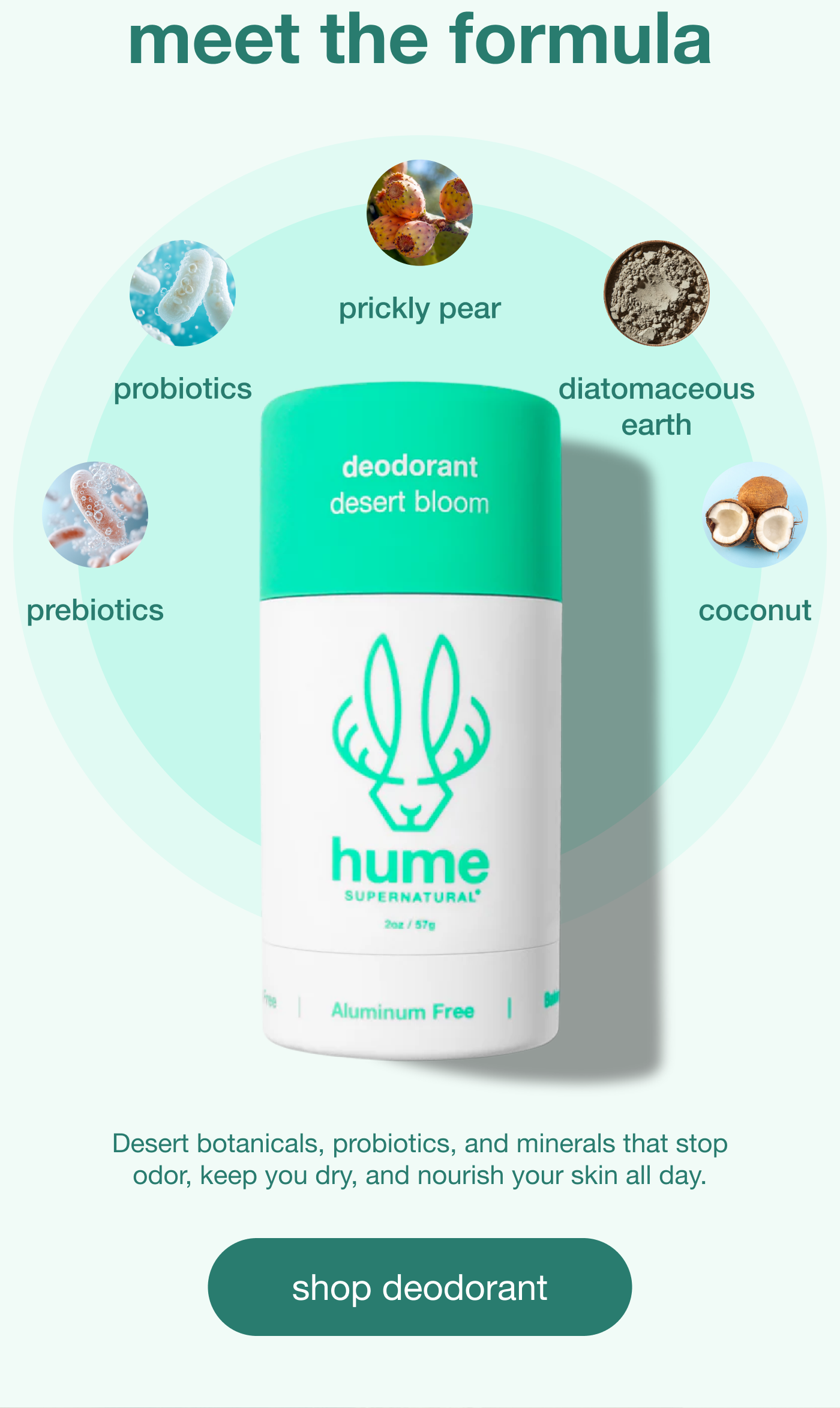 meet the formula [shop deodorant]