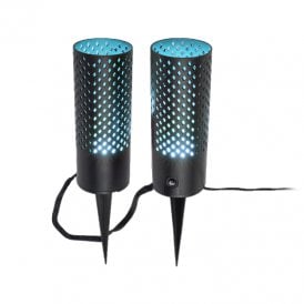 Easyfit Remote 12v Garden Lights - Rose LED Outdoor Feature Stake Light With PIR Sensor- 2 Lights