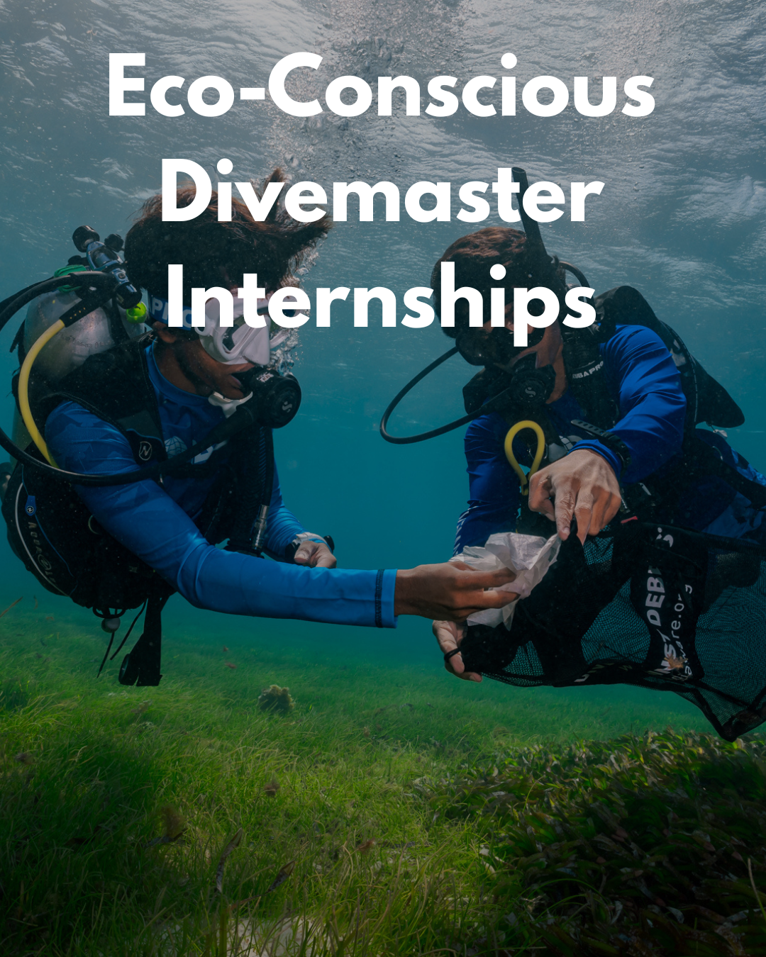 Eco-Conscious Divemaster Internships