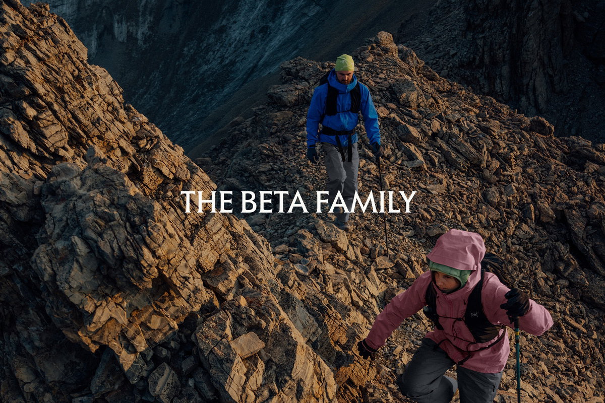The Beta Family