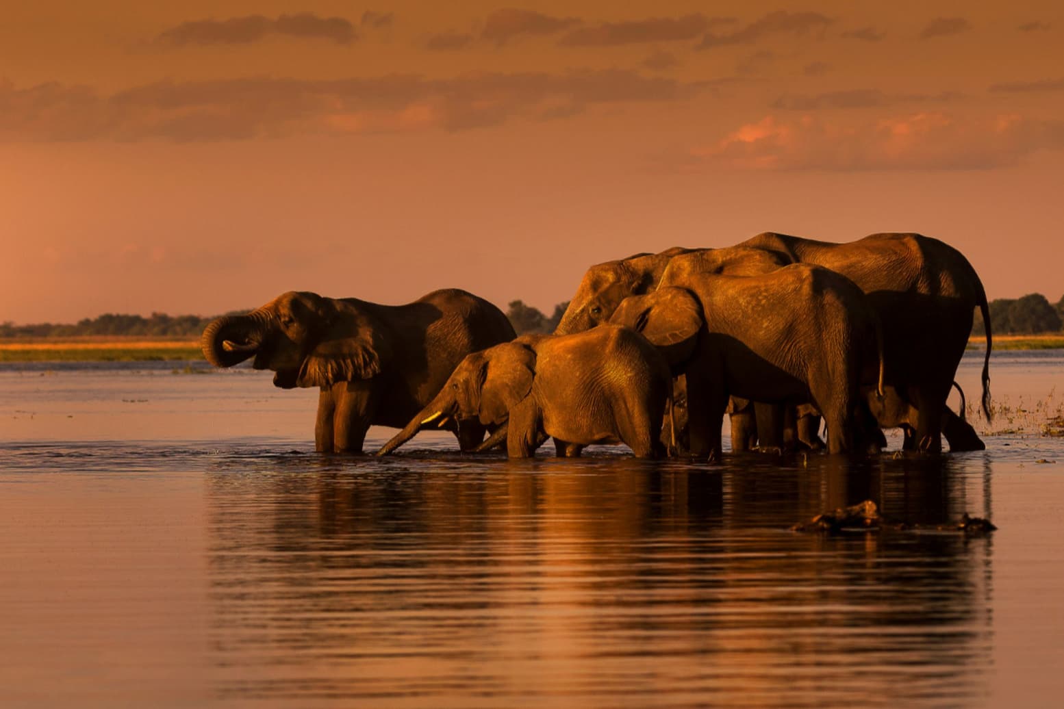 On Safari in South Africa - Elephant Lodge