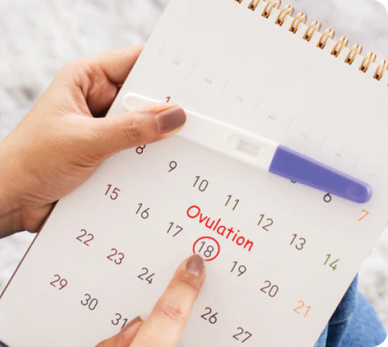 Am I Ovulating? Physical Signs and Testing for Ovulation