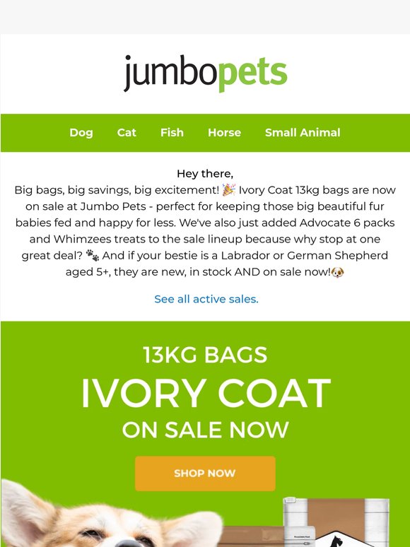 🐾 Ivory Coat 13kg is ON SALE - plus Royal Canin deals end this weekend!