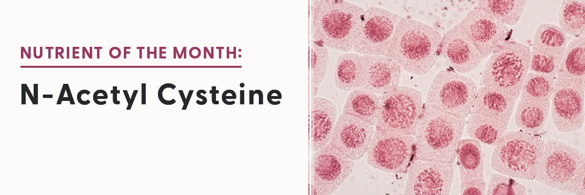 Nutrient of the Month: N-Acetyl Cysteine