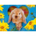 Puzzle.fr/Planet'Puzzles
