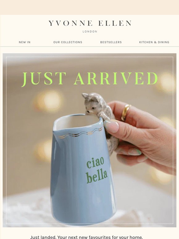 Discover our latest arrivals