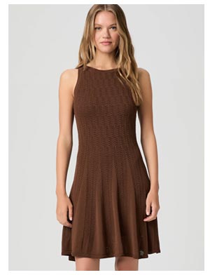 A woman wearing a brown fitted knit jersey mid-thigh length dress.