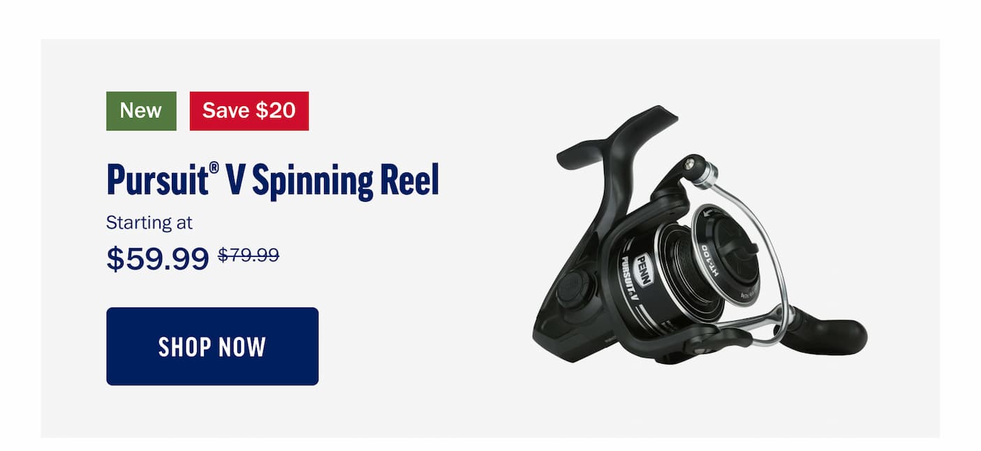 Pursuit V Spinning Reel