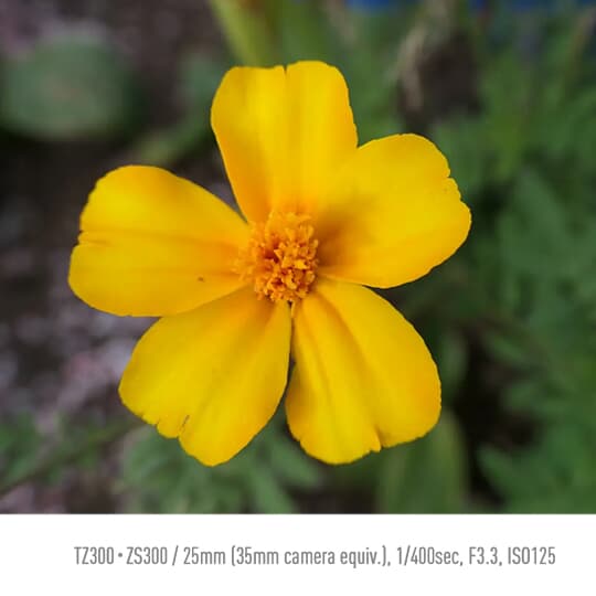 Get as close as 3cm with AF macro
