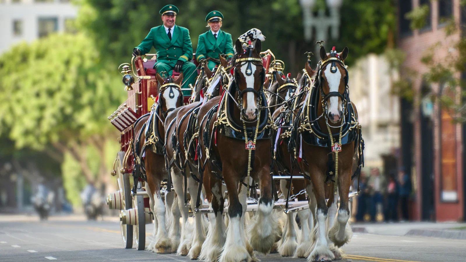 In Its Summer Campaign, Budweiser Waves the Flag — A Lot