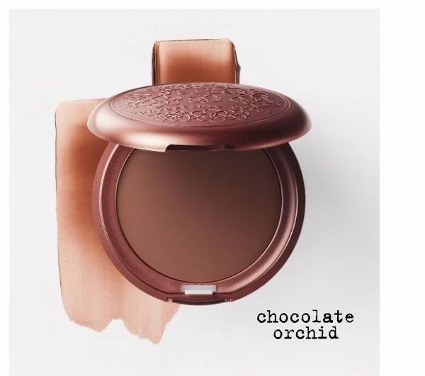 Chocolate Orchid