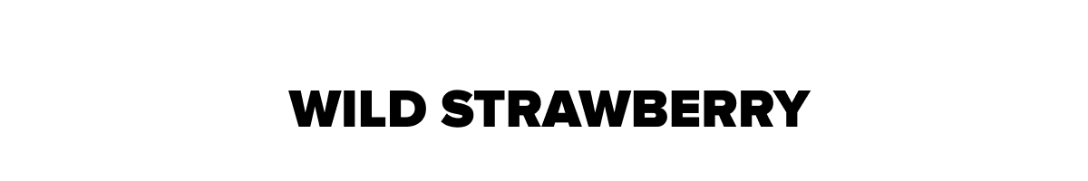 WILD STRAWBERRY