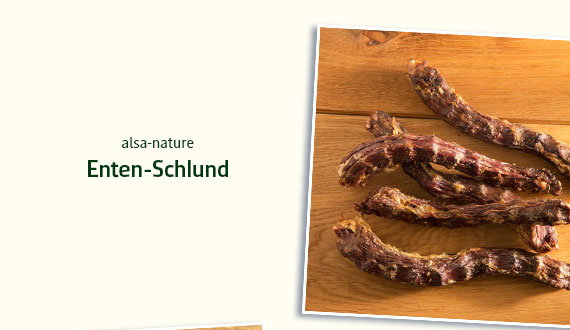 alsa-nature Enten-Schlund
