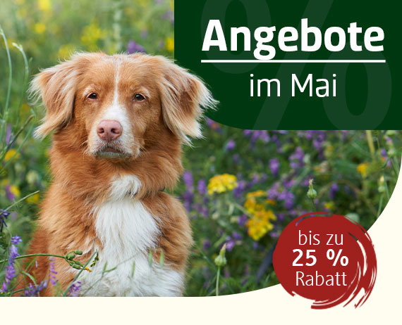 ANGEBOTE im Mai