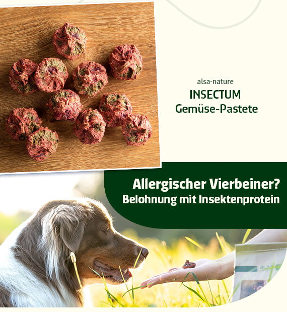 alsa-nature INSECTUM Gemüse-Pastete