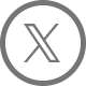 X icon