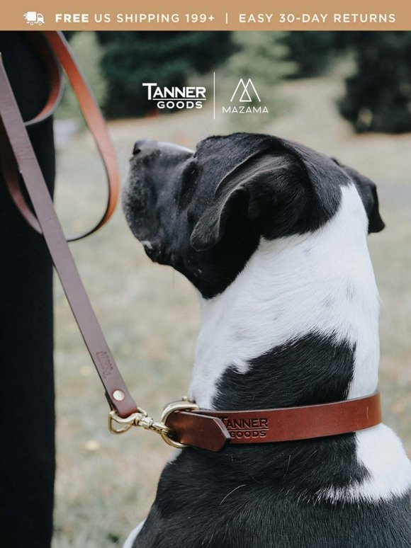Show Your Love: Gifts for Dog Moms