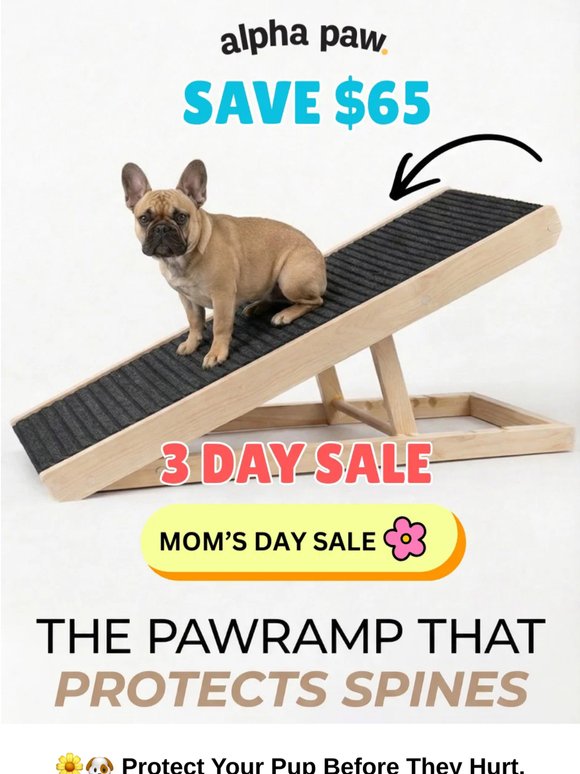 🌸 🐶 Mom's Day Sale! Save $65 Protecting Your Pup