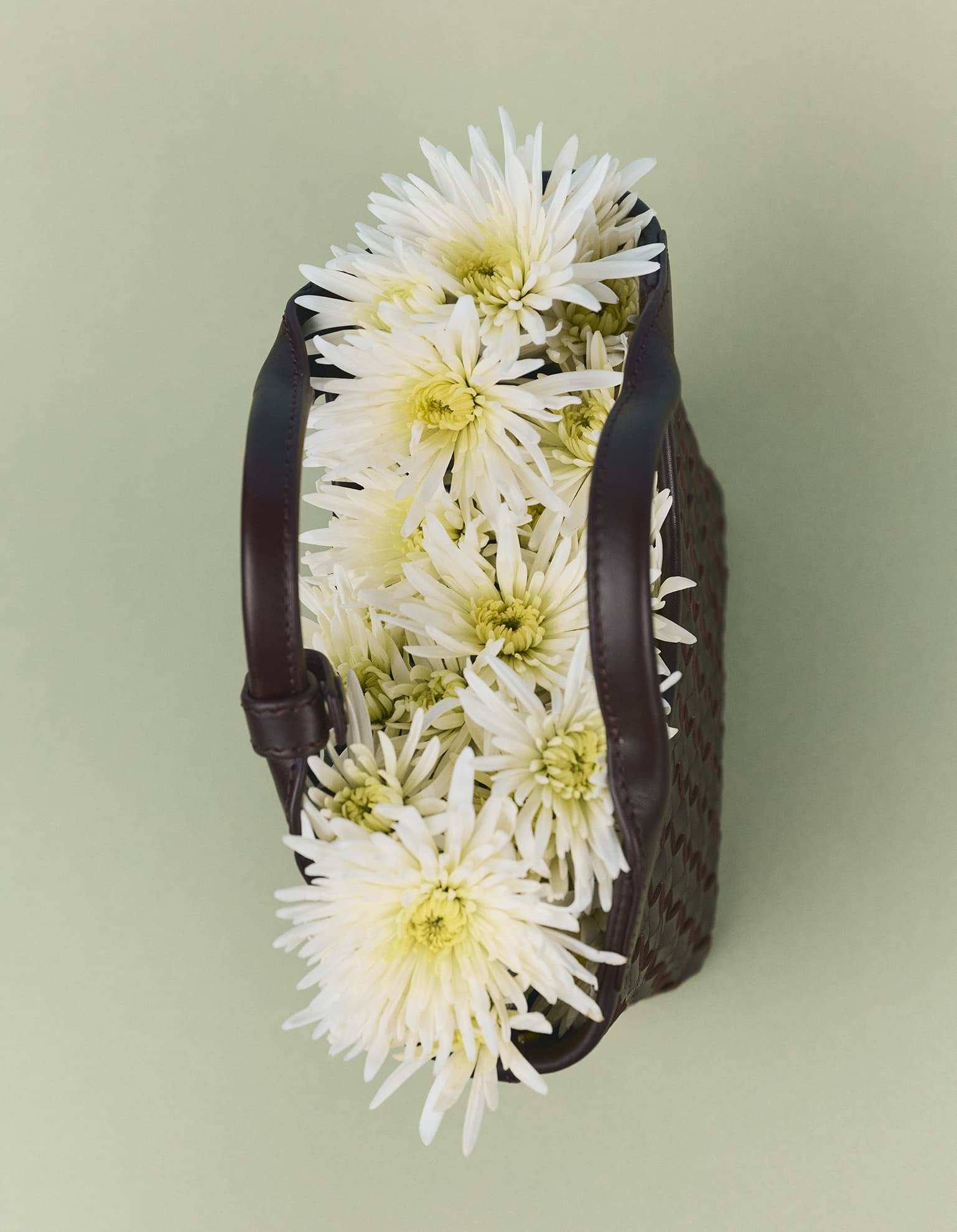 Mara Mini Chocolate