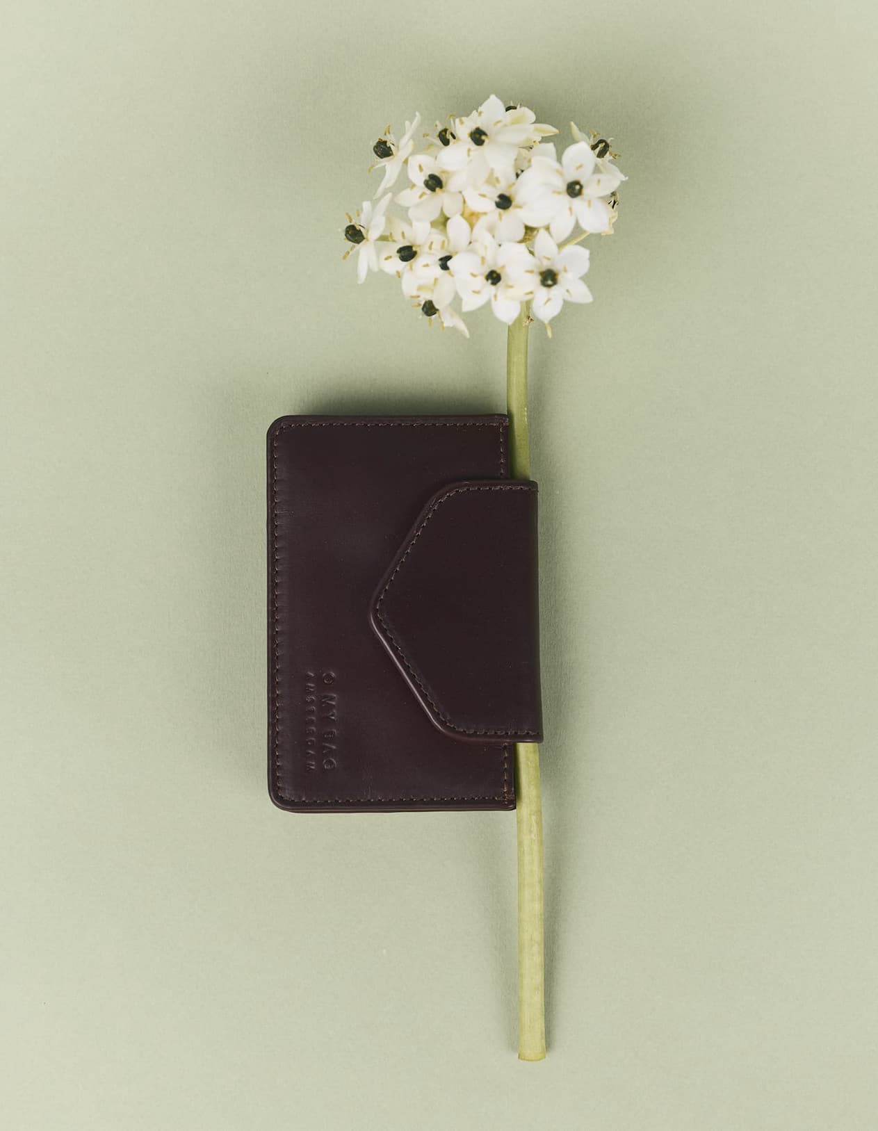 Harmonica Wallet Chocolate