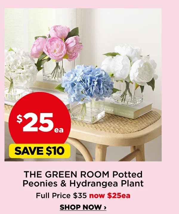 The Green Room Potted Peonies & Hydragea Plant