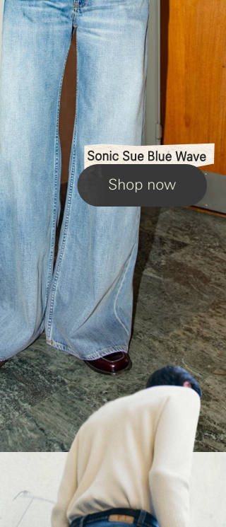Sonic Sue Blue Wave