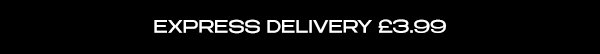 EXPRESS DELIVERY