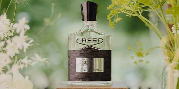 Woody Fragrances