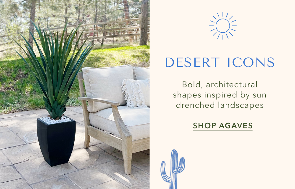 Desert Icons
