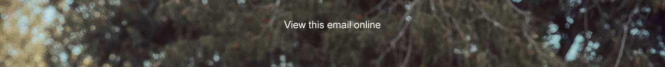 View this email online
