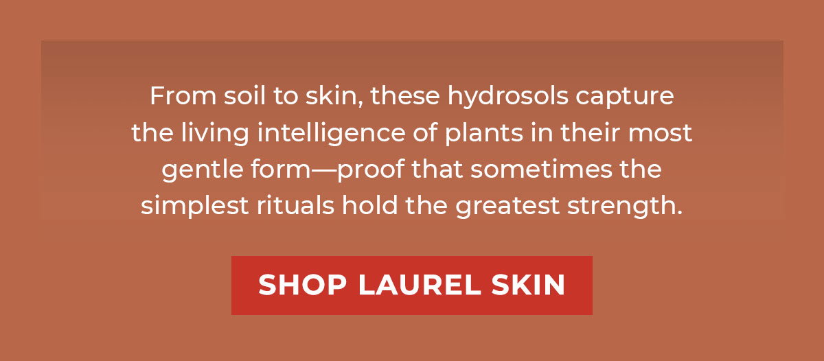 From soil to skin, these hydrosols capture the living intelligence of plants in their most gentle form—proof that sometimes the simplest rituals hold the greatest strength. | Shop Laurel Skin